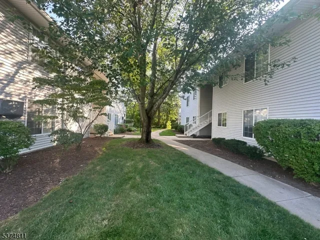 a small garden covered with tall trees