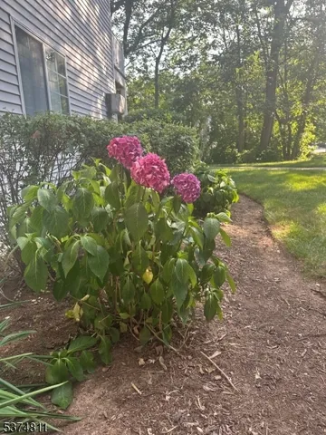 a view of a park with large trees and wooden fence