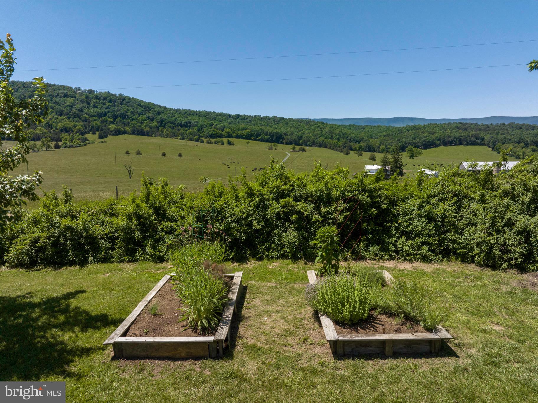 12970 Senedo Road Mount Jackson, VA 22842 - Photo 60 of 66 Views of mountains all around you!