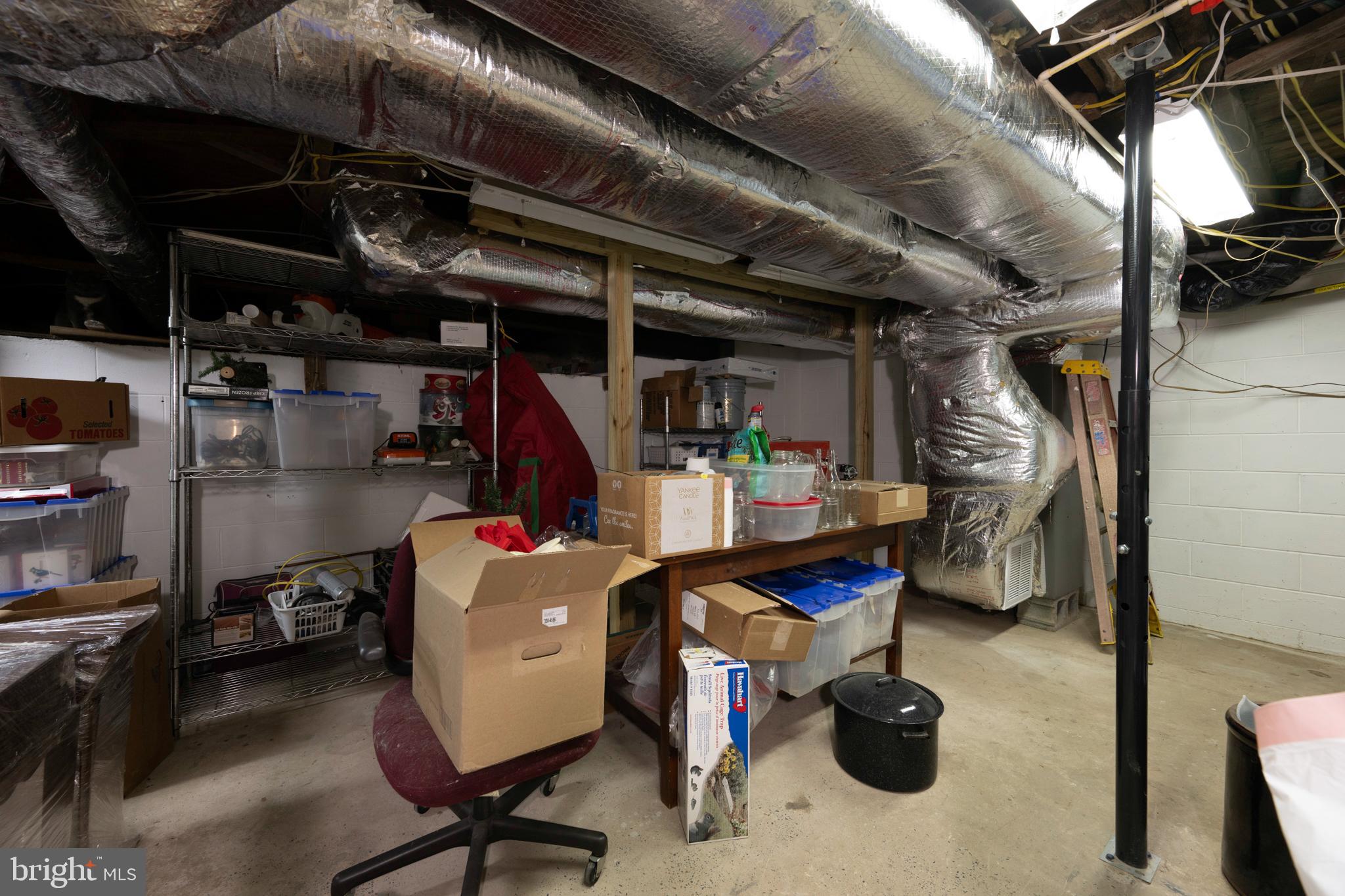 12970 Senedo Road Mount Jackson, VA 22842 - Photo 64 of 66 Lower level storage