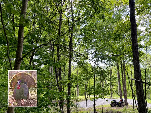 $54,900 | 0 Little Kyger Road, Unit LITTLE KYGER TRACT 2), Cheshire, OH 45620