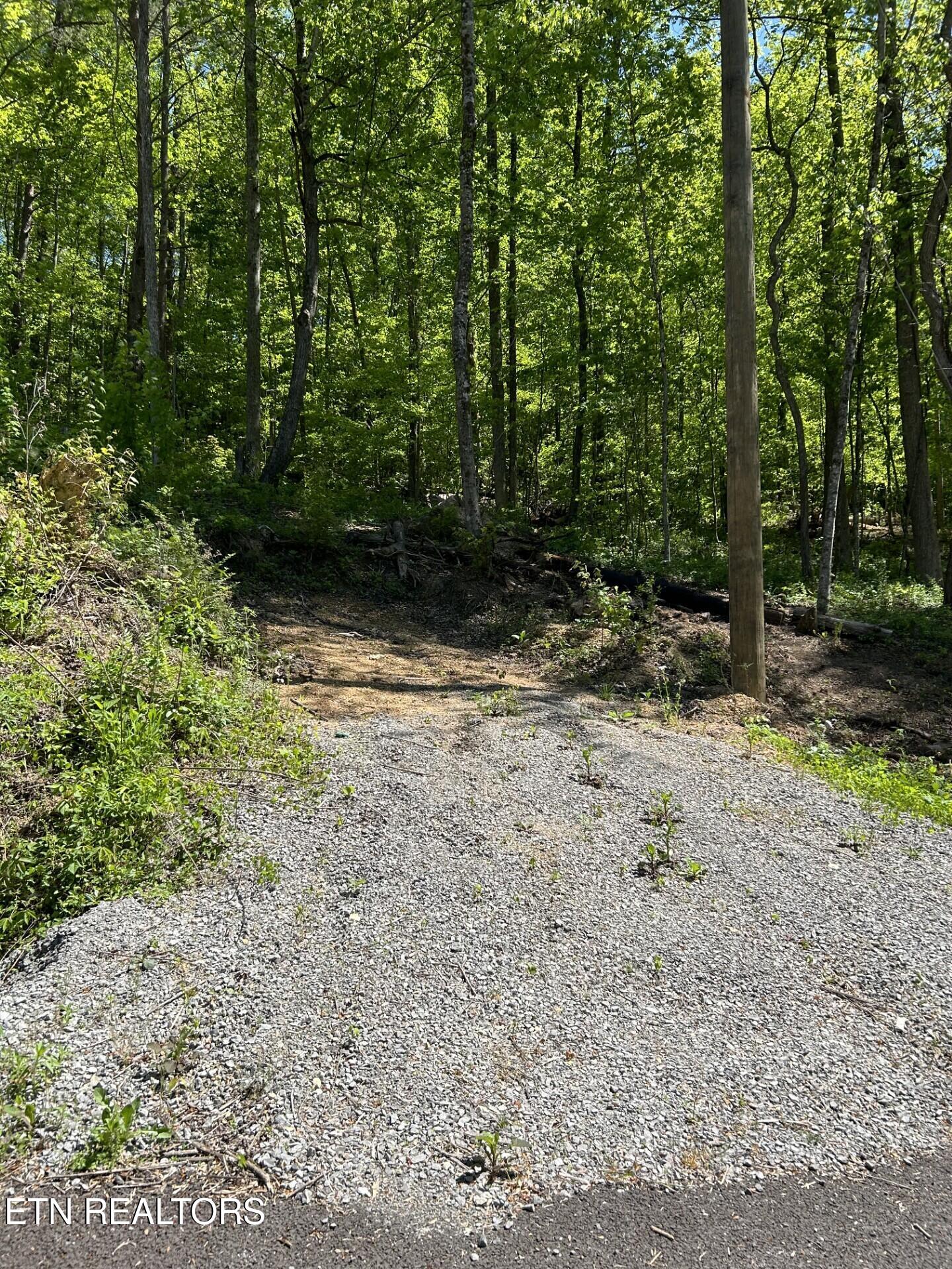 329 Island Cove Road Rocky Top, TN 37769 - Photo 2 of 7 329 Island Cove Rd. Lot 2B (9)