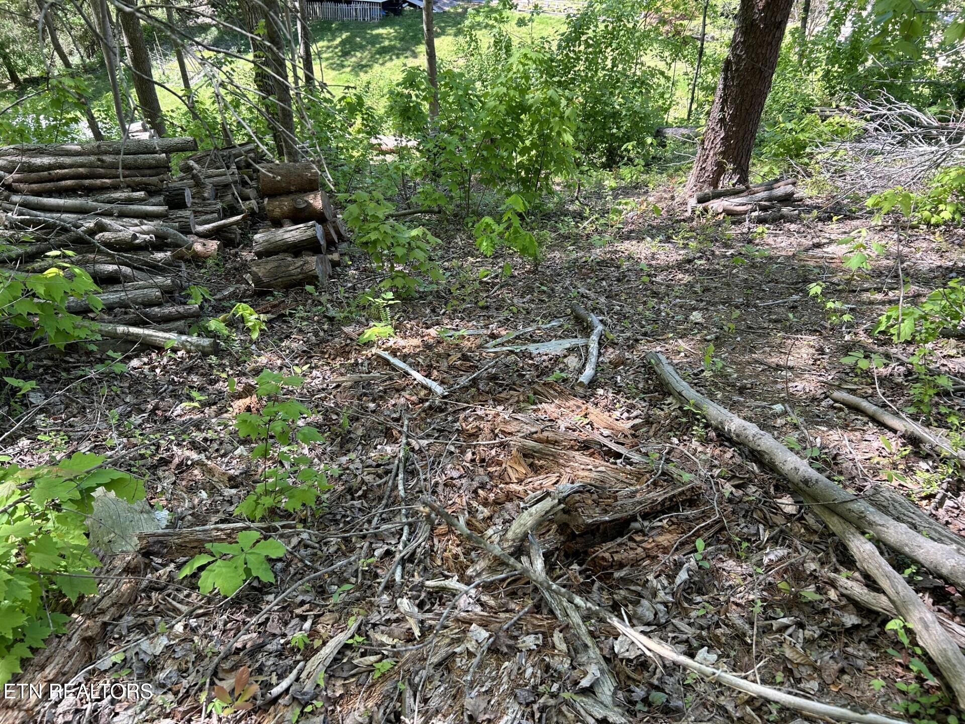 329 Island Cove Road Rocky Top, TN 37769 - Photo 3 of 7 329 Island Cove Rd. Lot 2B (6)