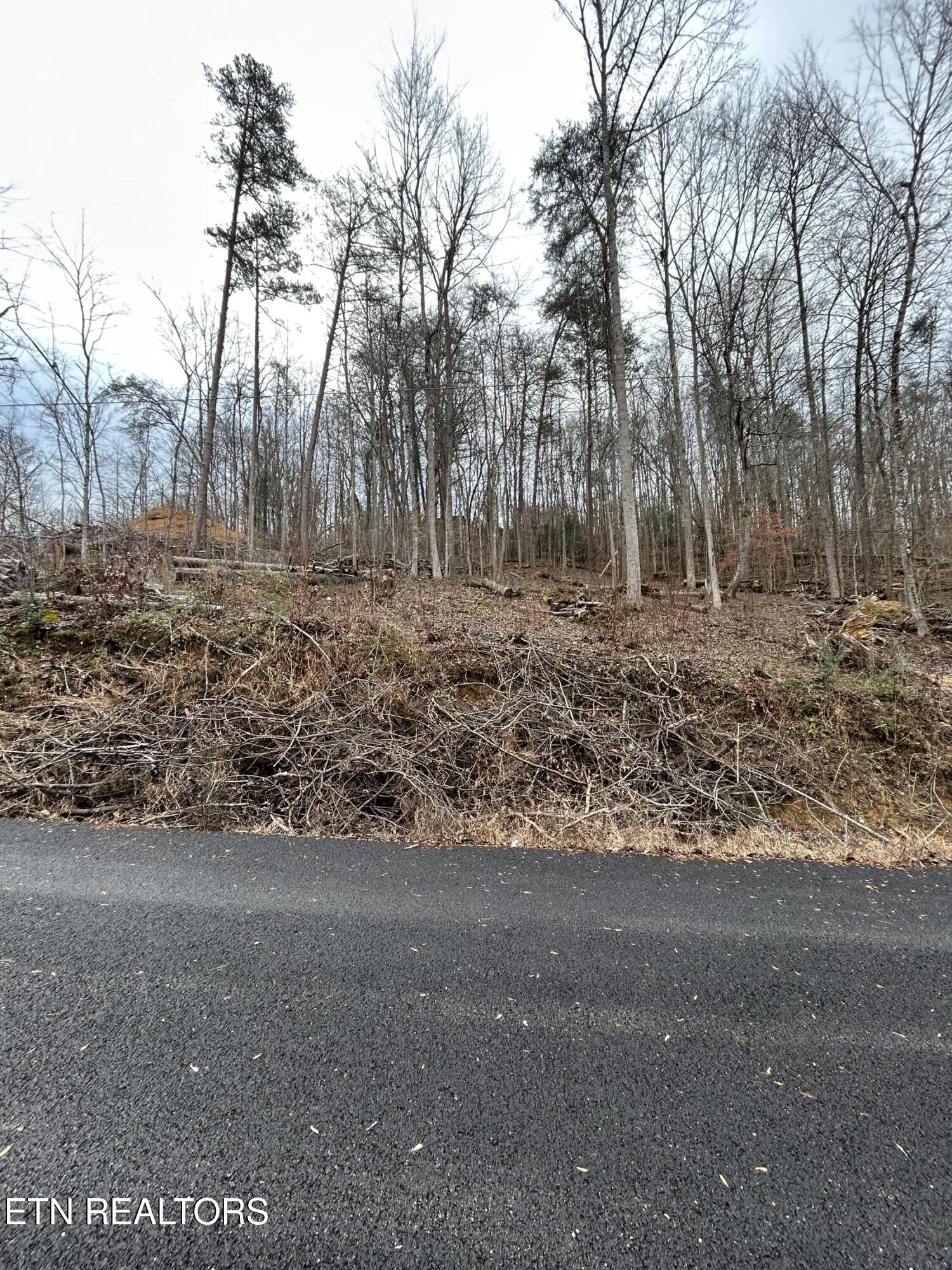 329 Island Cove Road Rocky Top, TN 37769 - Photo 7 of 7 329 Island Cove Rd. Lot 2B (4)