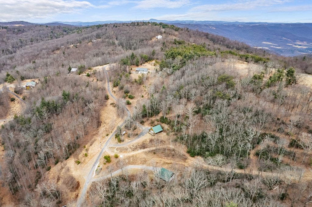 799 Crystal Spring Drive Fancy Gap, VA 24328 - Photo 40 of 43 Gallery Image 40