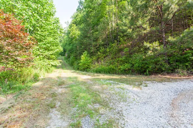 a view of a city with lush green forest
