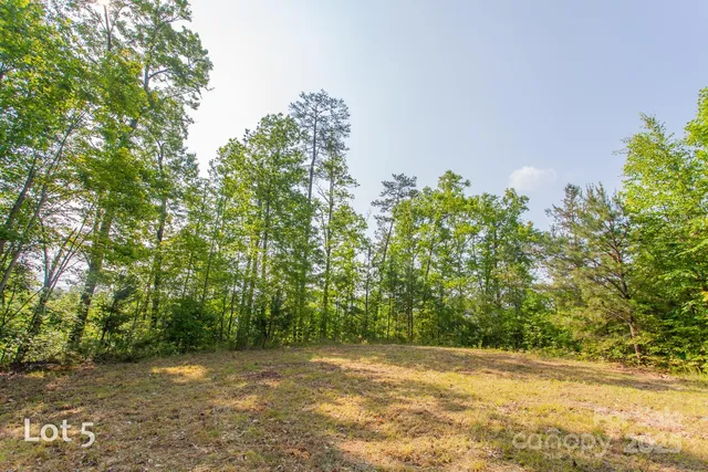 a view of a yard with a tree