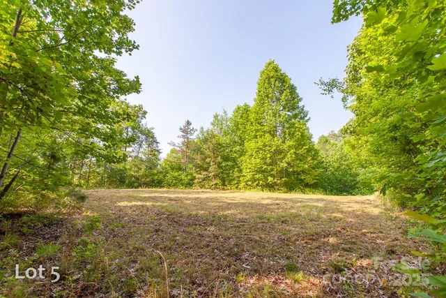a view of a yard with plants and a trees