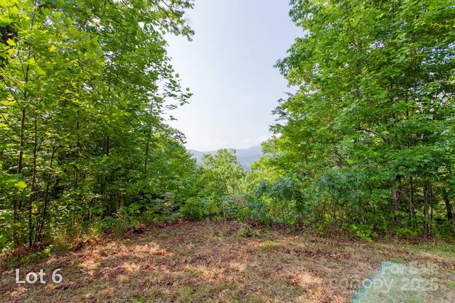 a view of a yard with a tree