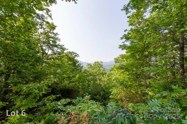 a view of a plants with pathway