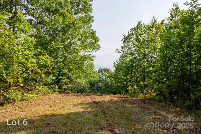 a view of a field with plants and trees