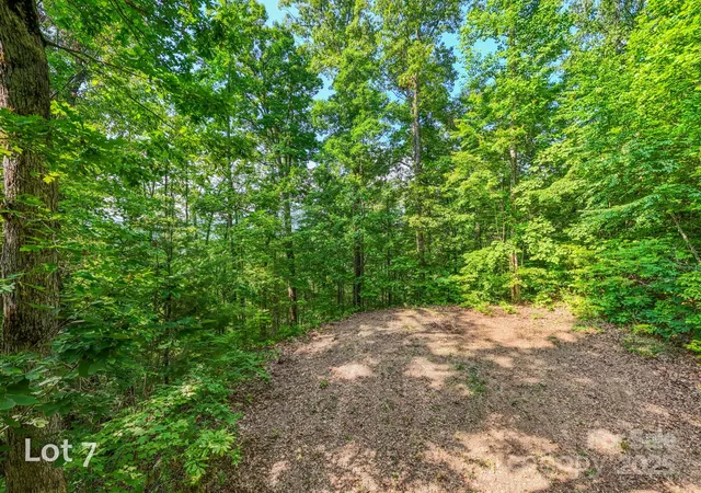 a view of a yard with a tree