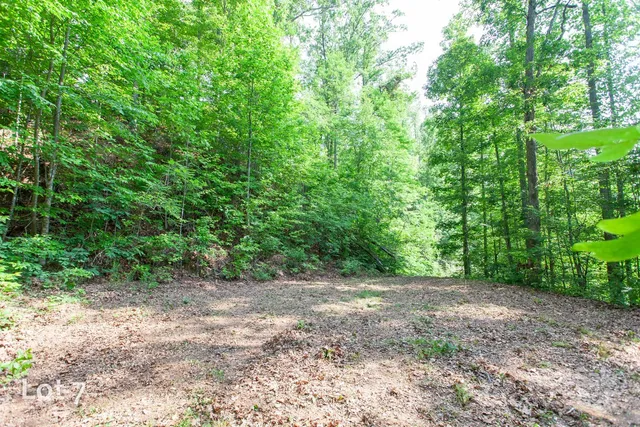 a view of a lush green field with a mountain in the background