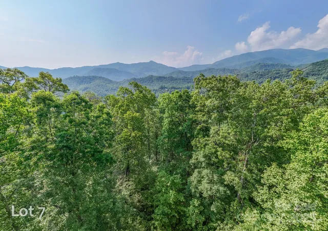 a view of a yard with a plant