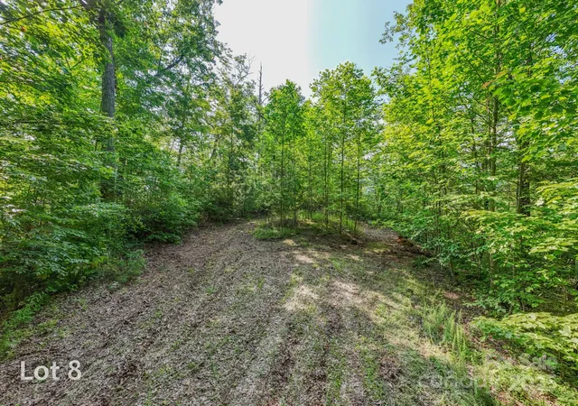 a view of a lush green space