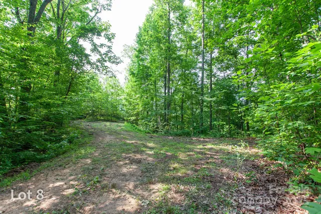 a view of a large yard with lots of green space