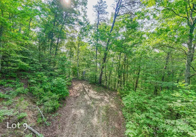 a view of outdoor space with trees