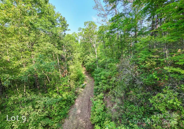 a view of a plants in middle of the green field