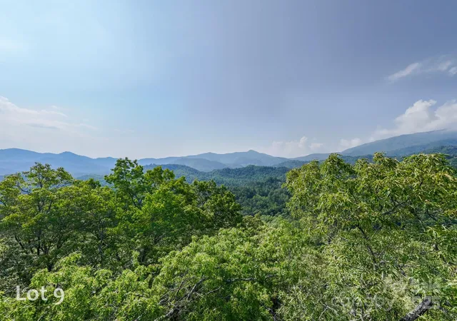 a close up of a plant in a garden
