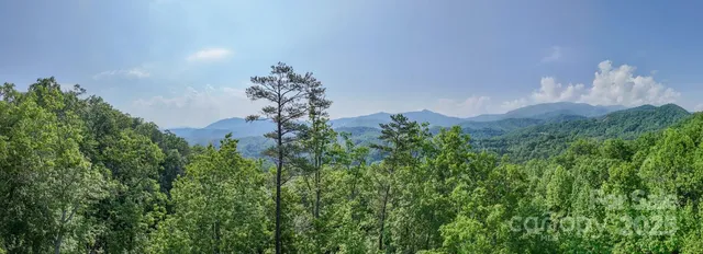 a view of a city with lush green forest