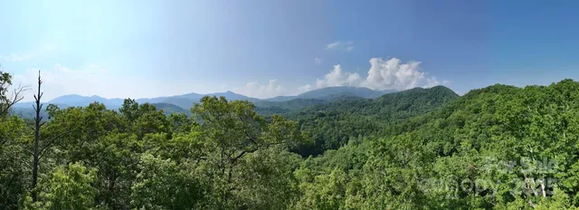 $650,000 | 1200 Tobacco Branch Road, Almond, NC 28702