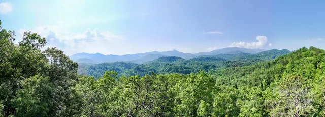 $650,000 | 1200 Tobacco Branch Road, Almond, NC 28702