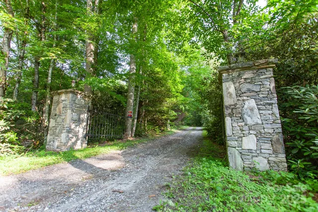 a view of a yard with plants and large trees