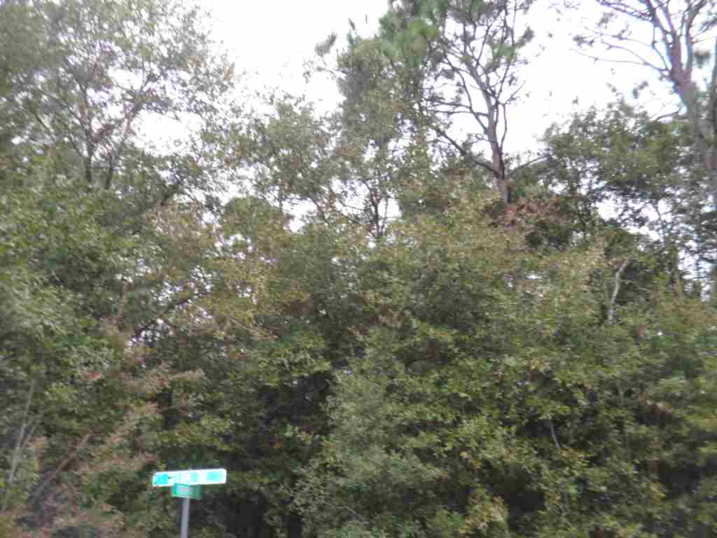 3.28-acre 3.28-acre Blair Road Milton, FL 32570 - Photo 21 of 23 Gallery Image 21