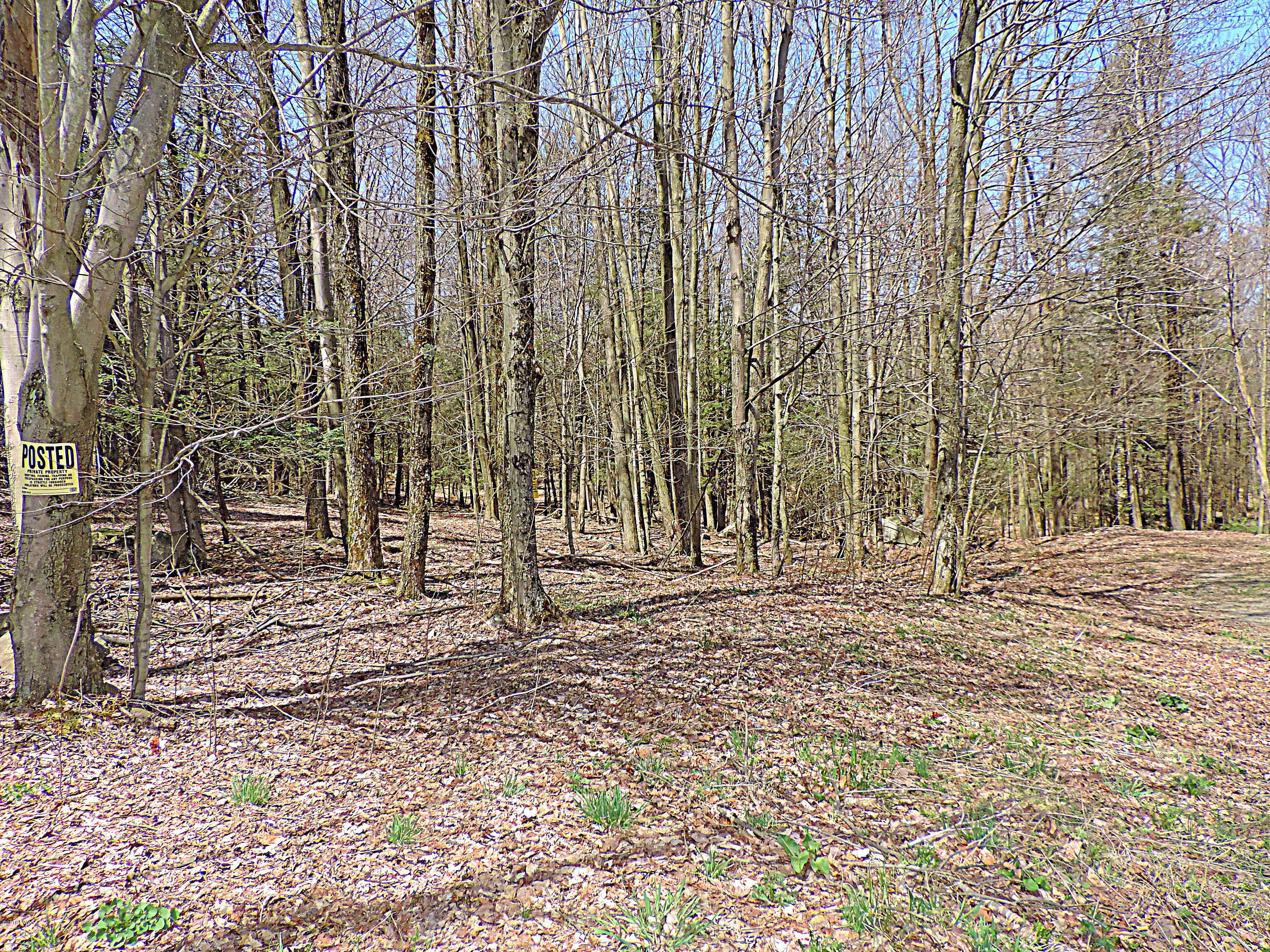 441 Huckleberry Road Newfoundland, PA 18445 - Photo 43 of 58