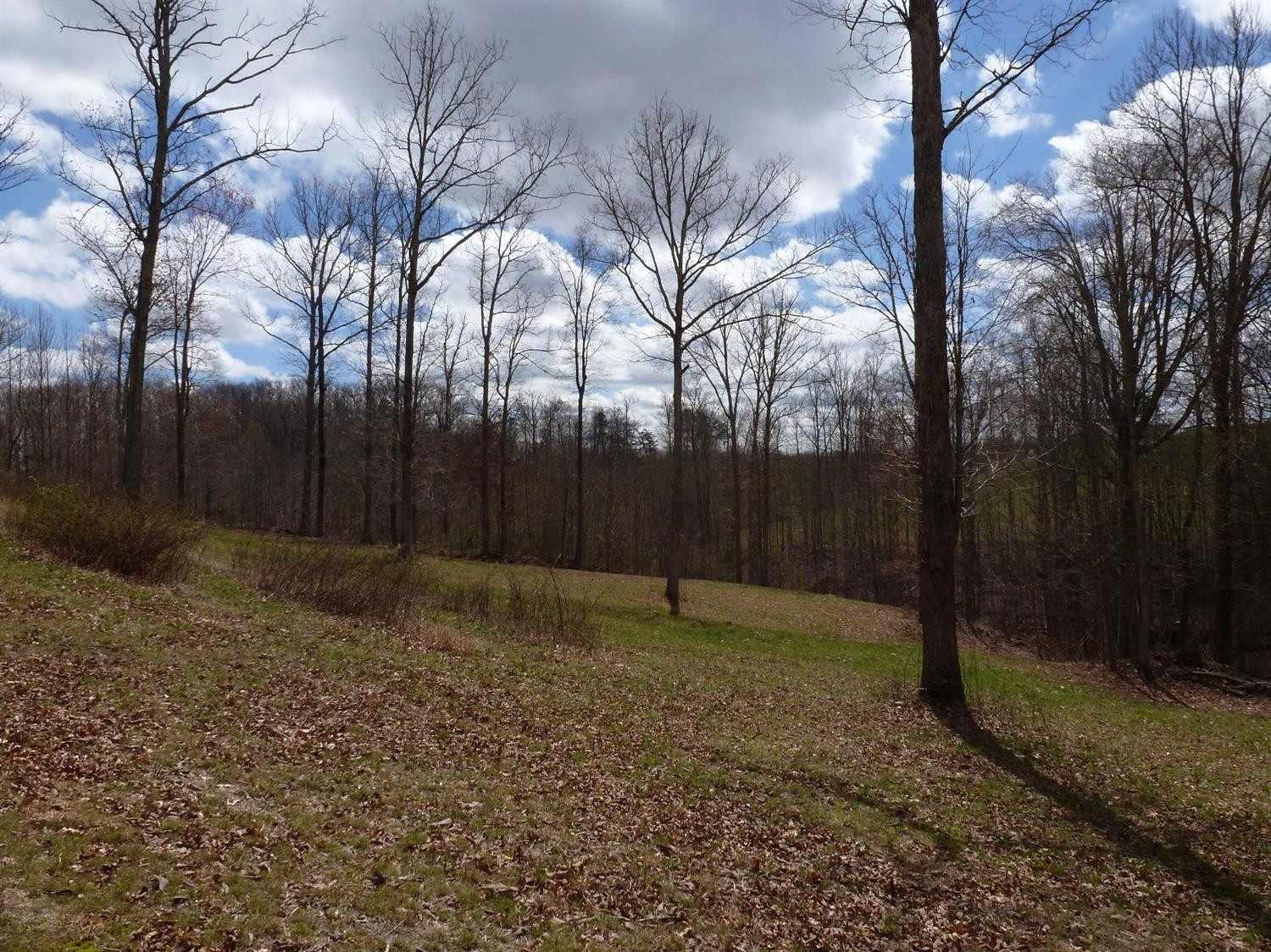 3821 Amos Ridge Road Frenchburg, KY 40322 - Photo 25 of 88 Photo 25