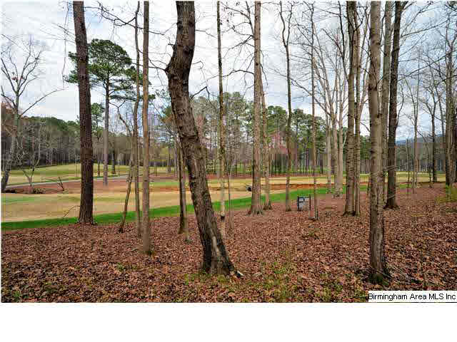 1 Winged Foot Birmingham, AL 35242 - Photo 31 of 32