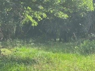 7 Barry Road Henrietta, TX 76365 - Photo 15 of 30