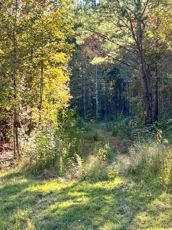 $90,000 | 0 St Julian Drive, Cross, SC 29436