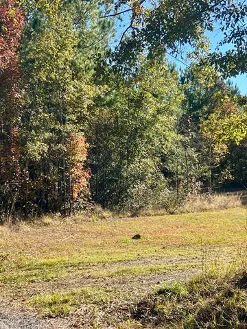 $90,000 | 0 St Julian Drive, Cross, SC 29436