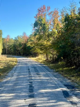 $90,000 | 0 St Julian Drive, Cross, SC 29436