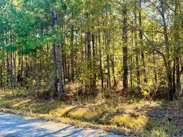 $90,000 | 0 St Julian Drive, Cross, SC 29436