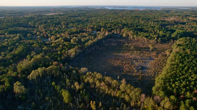 $90,000 | 0 St Julian Drive, Cross, SC 29436