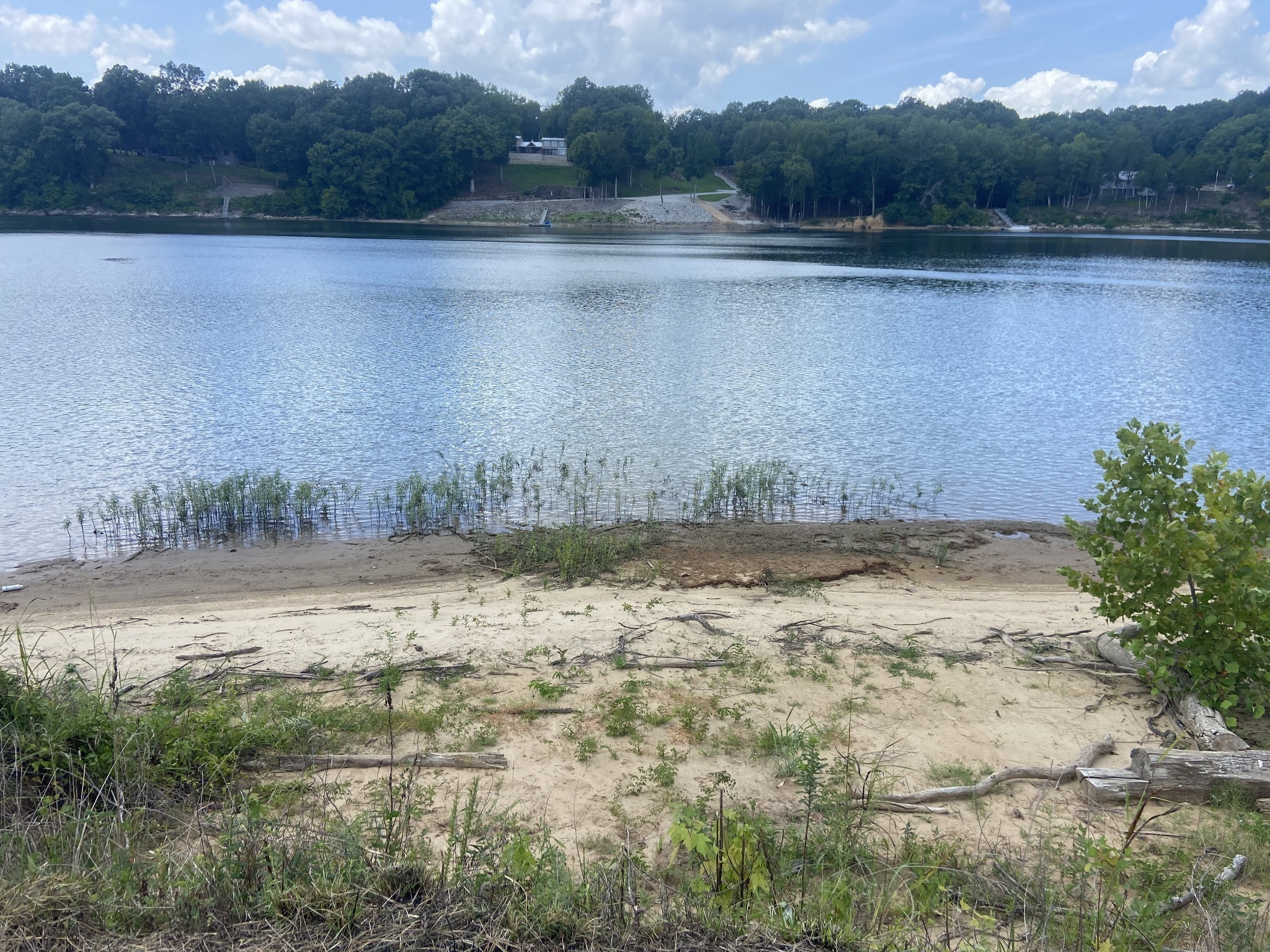 1765 Hardin Bottom River Road Clifton, TN 38425 - Photo 11 of 15 a view of a lake view