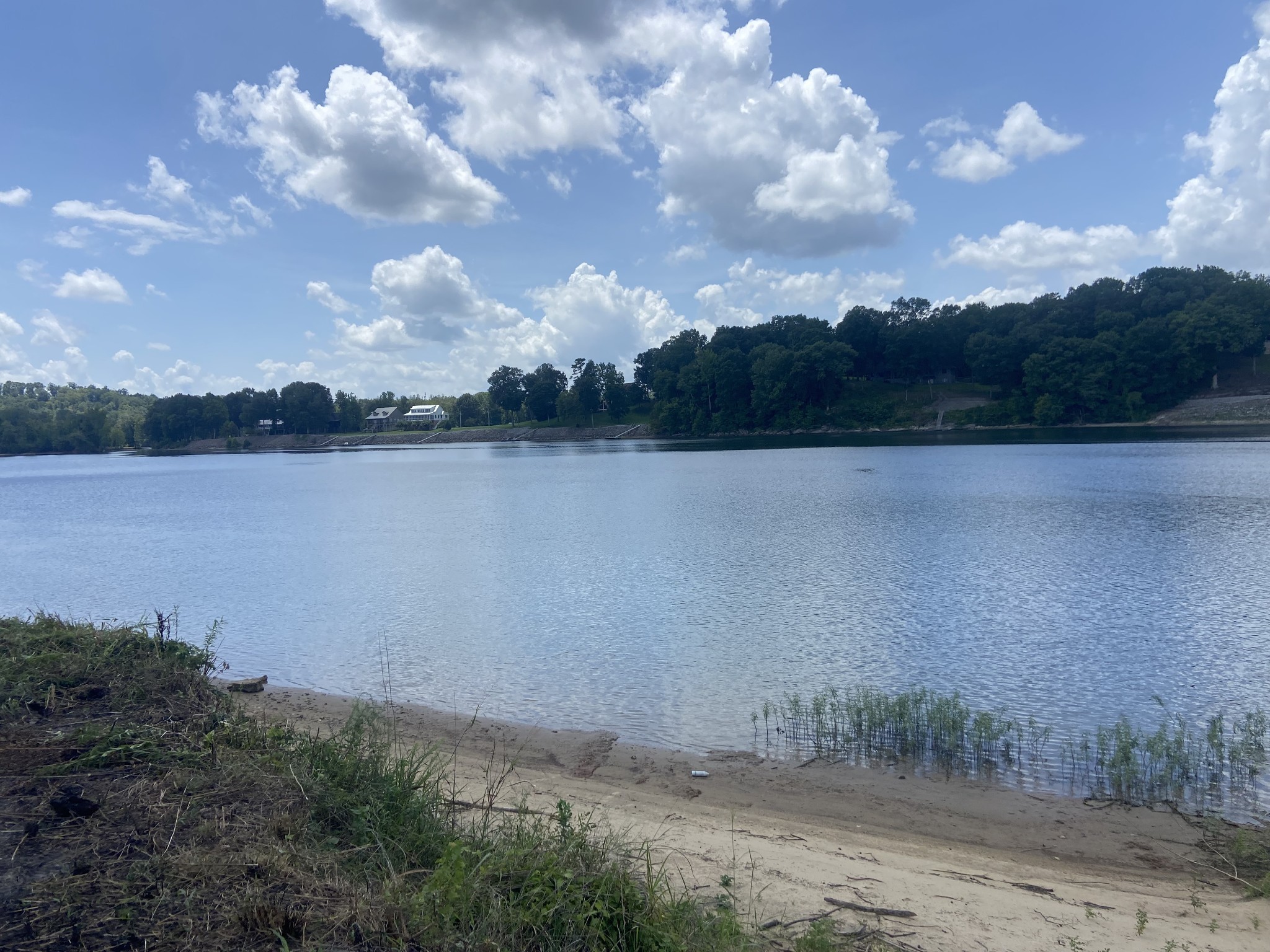 1765 Hardin Bottom River Road Clifton, TN 38425 - Photo 3 of 15 a view of a lake