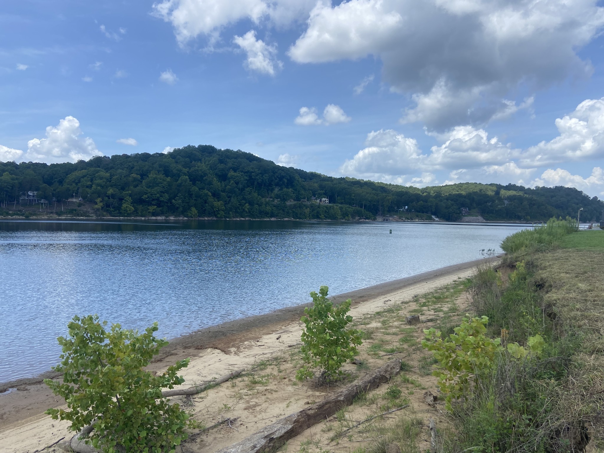 1765 Hardin Bottom River Road Clifton, TN 38425 - Photo 9 of 15 a view of a lake in middle of the forest