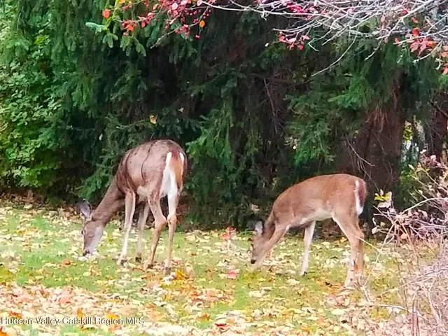 $799,000 | 3582 County Road 23C, Jewett, NY 12442