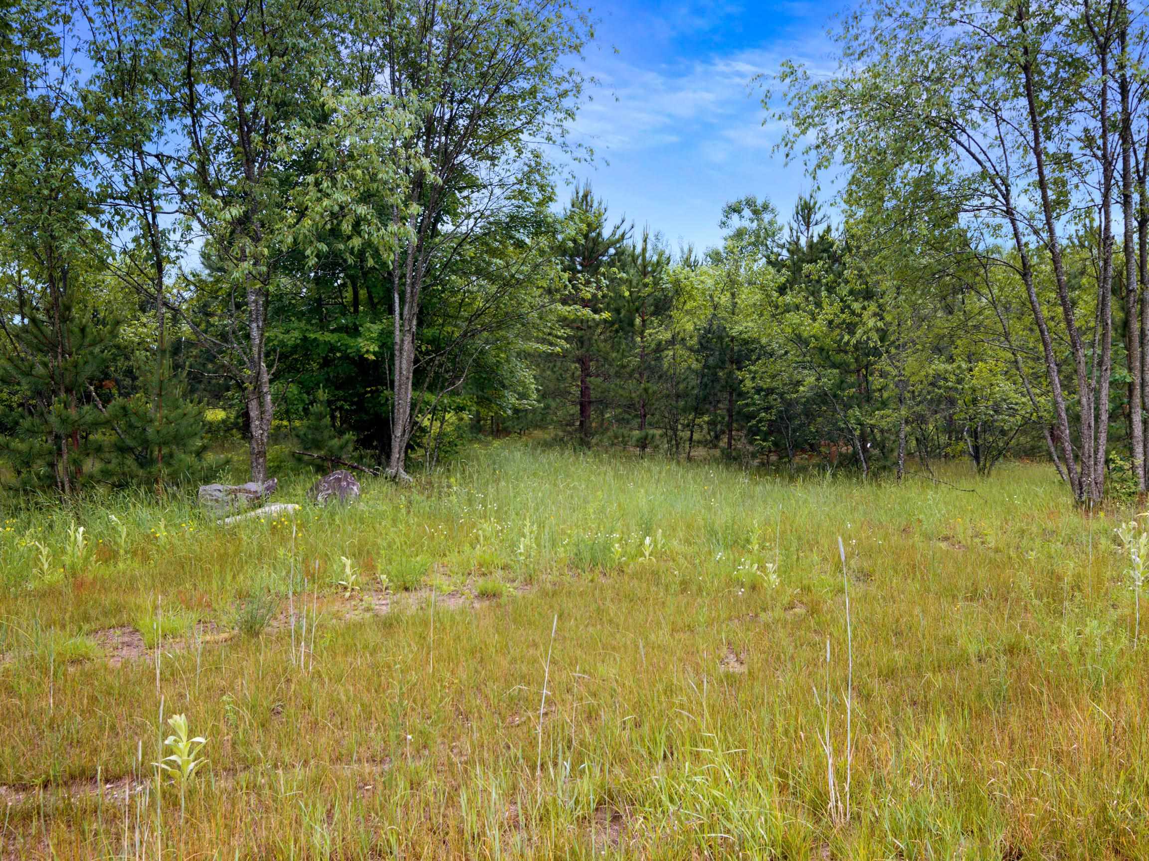 0 Maple Farms Lane Kingsley, MI 49649 - Photo 3 of 21 1947367-660bbd8c-4103-4c9d-a42f-a3629c780aeb.JPG