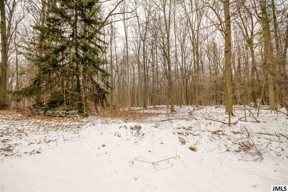 9991 Snow Road Horton, MI 49246 - Photo 8 of 20 Photo 8