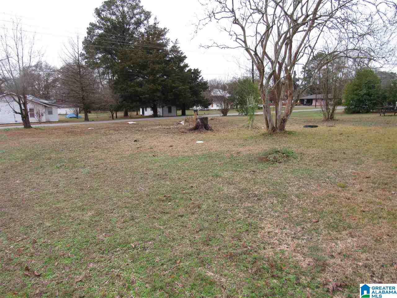 104 3rd Avenue South Clanton, AL 35045 - Photo 37 of 38
