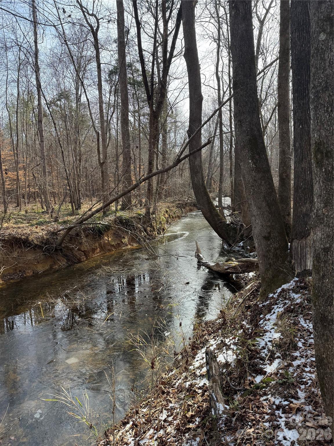4193 Walker Road Rock Hill, SC 29730 - Photo 26 of 38 a backyard of a house with lots of green space