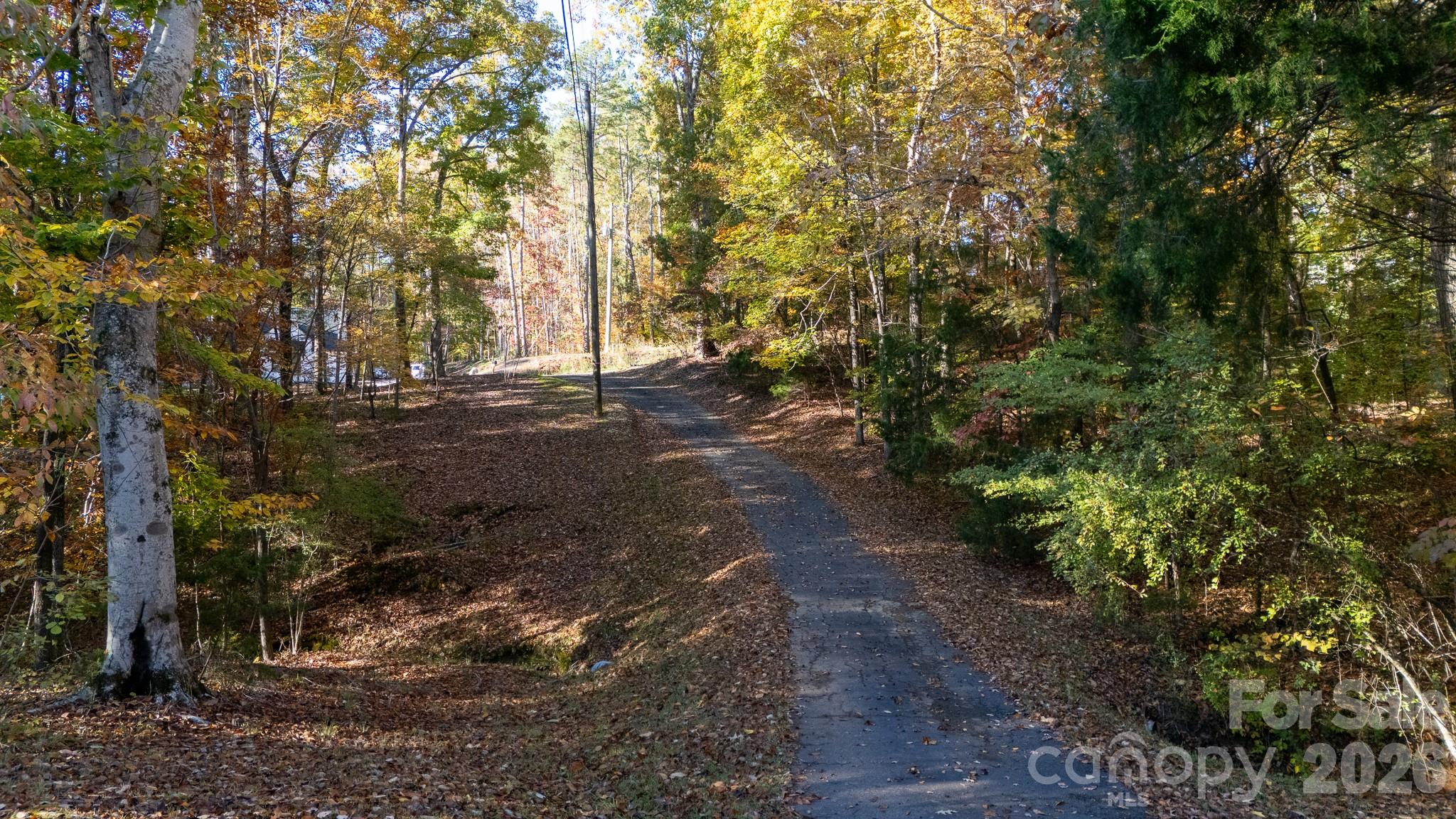 4193 Walker Road Rock Hill, SC 29730 - Photo 35 of 38 a view of a forest filled with trees