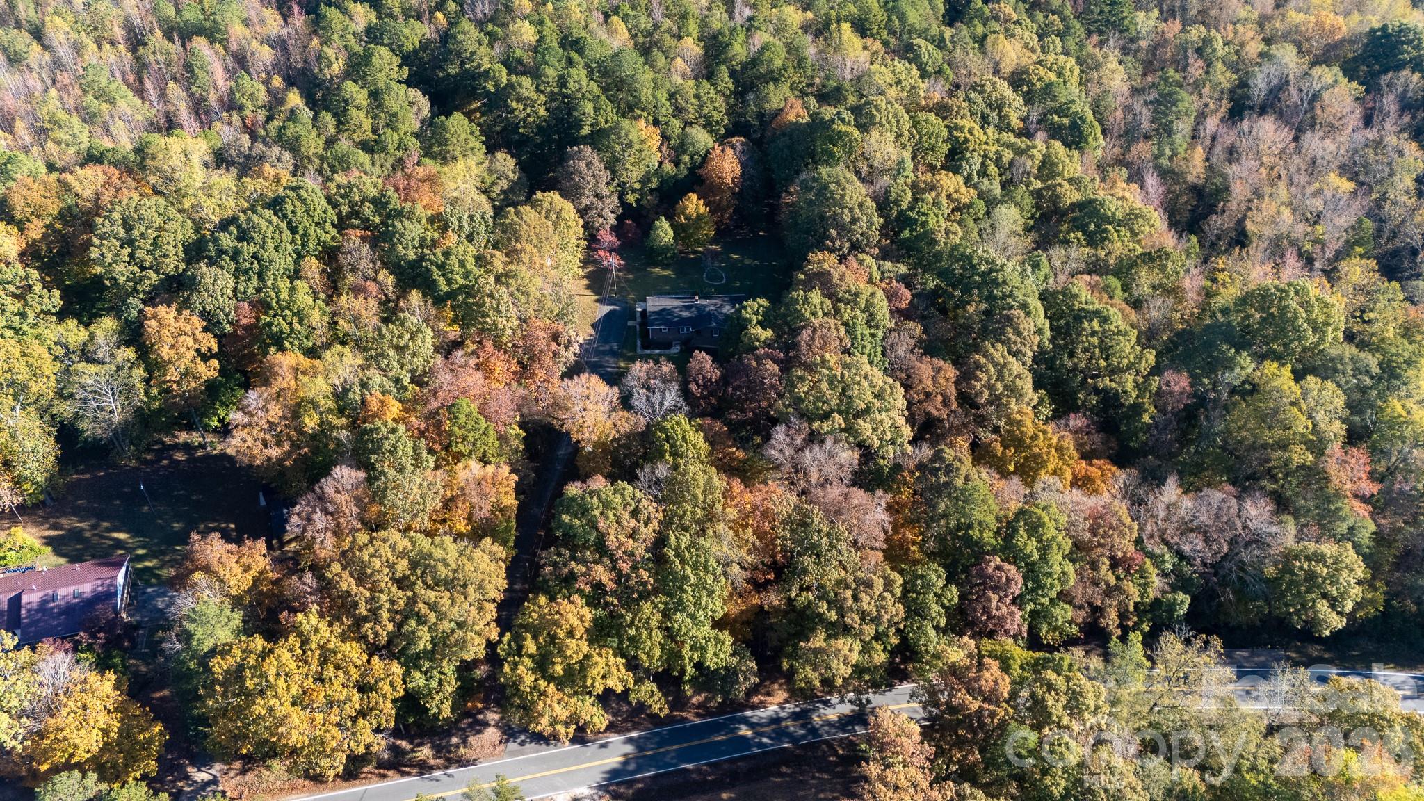 4193 Walker Road Rock Hill, SC 29730 - Photo 37 of 38 a view of a tree