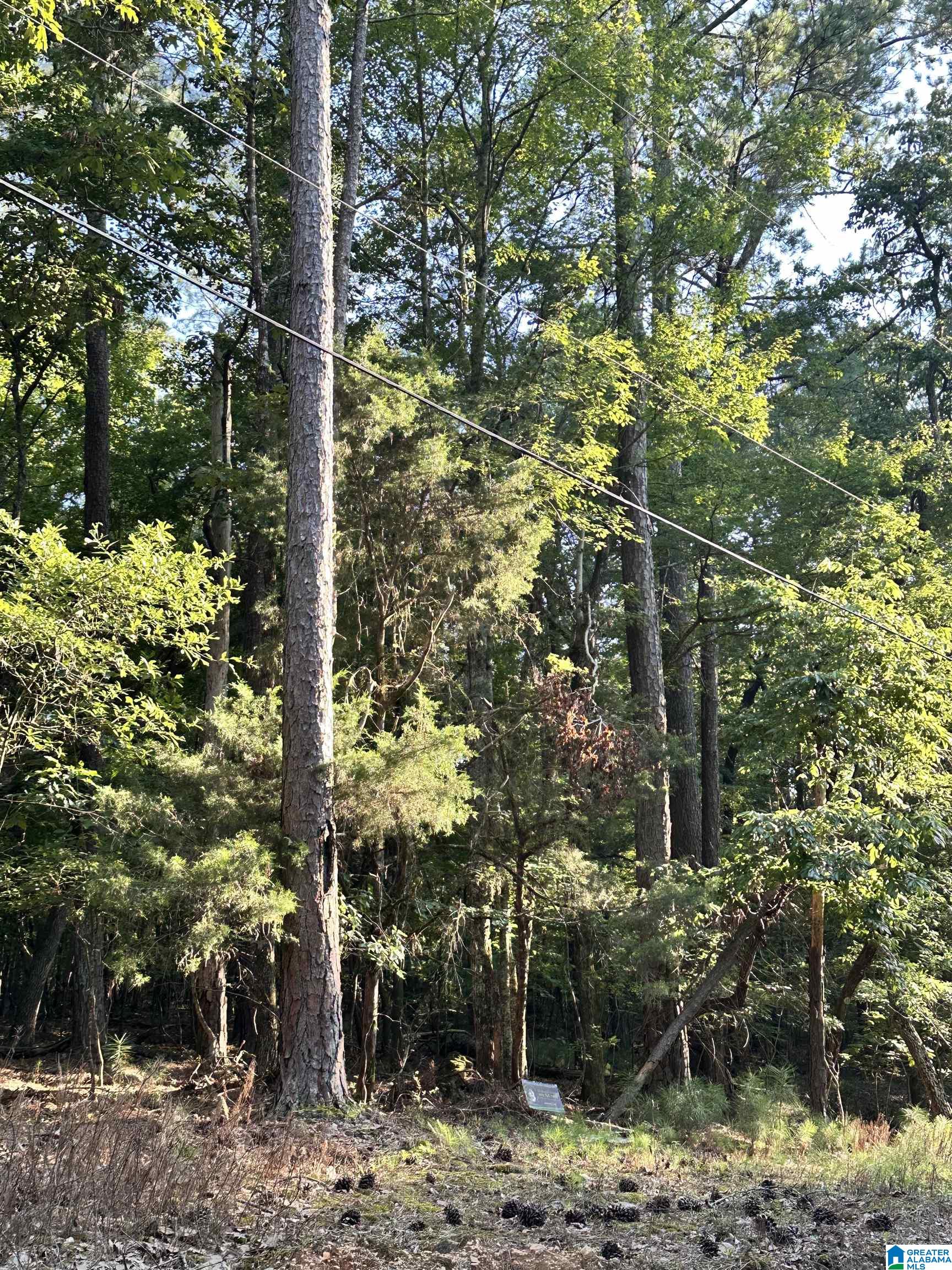 500 Black Acres Road, Unit 27 Cropwell, AL 35054 - Photo 25 of 25