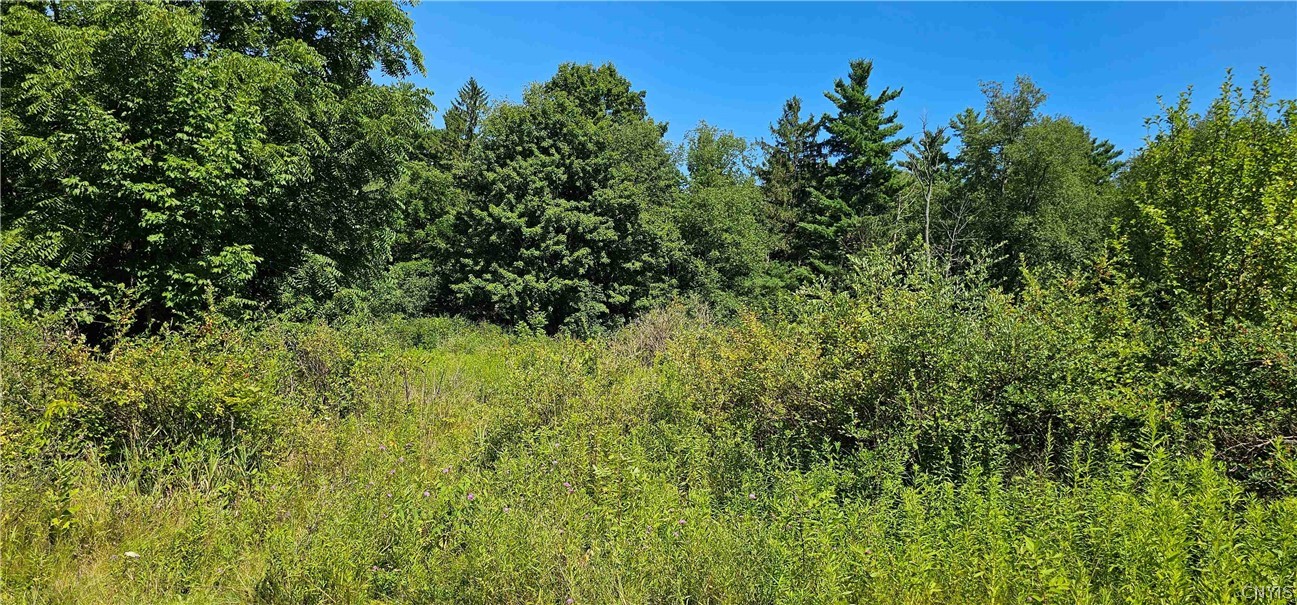 Ferguson Road Dryden, NY 13053 - Photo 15 of 19 Gallery Image 15