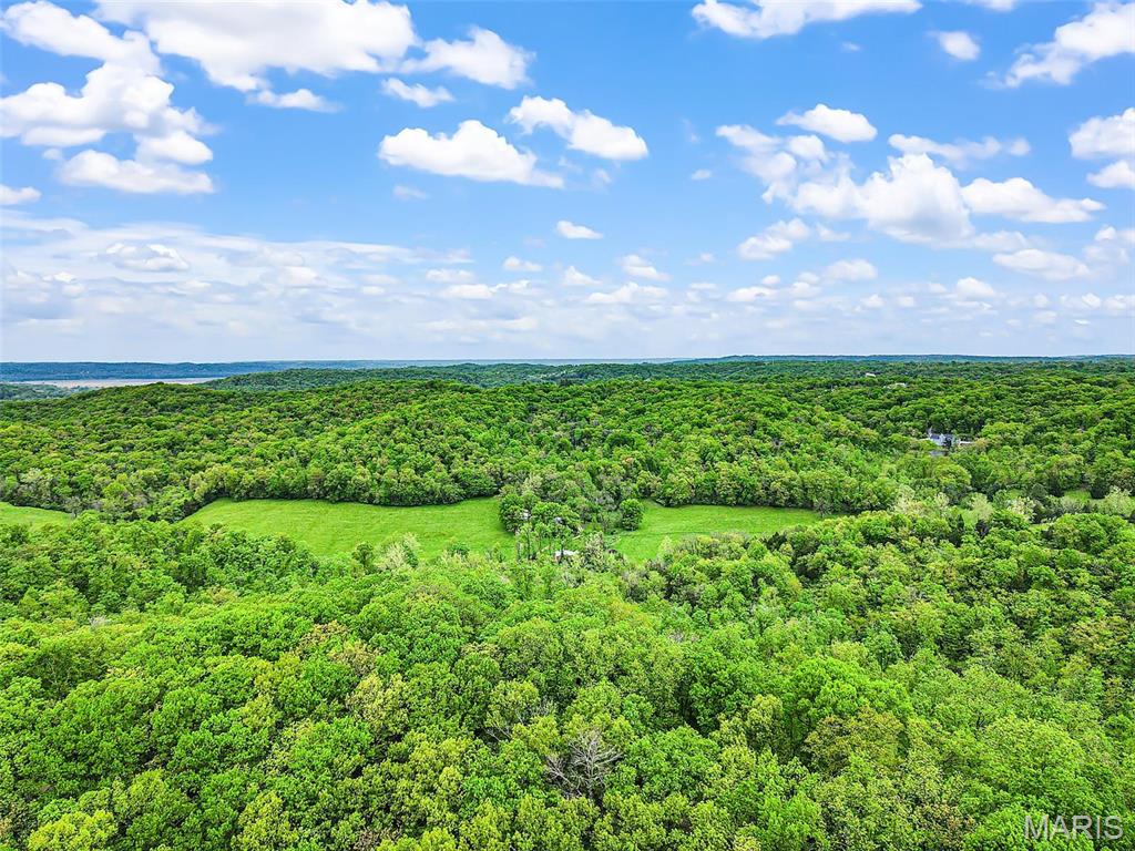 0 Springhill Road Pacific, MO 63069 - Photo 11 of 23